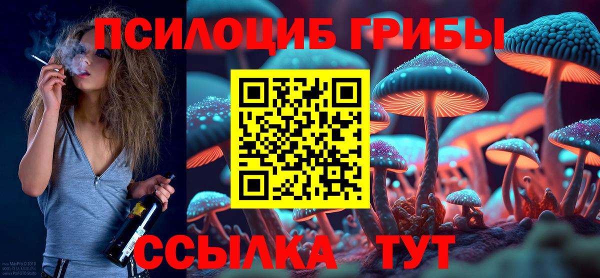 Галлюциногенные грибы MAGIC MUSHROOMS  Вход с VPN  наркота  Великий Устюг 