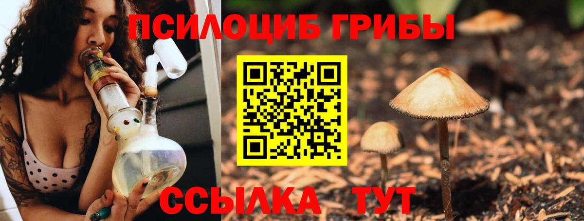 Псилоцибиновые грибы прущие грибы Великий Устюг